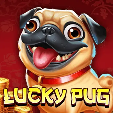 Lucky Pug